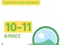 Электронные плакаты и тесты. Биология. Строение тела человека