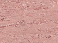 Линолеум Polyflor