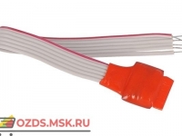 Болид С2000 AP1 исп.03, Адресный расширитель