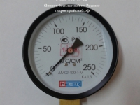 Манометр ДМ02-100-1М 0...100, 160, 250...1000кгс/см
