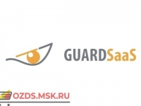 Iron Logic Guard Saas — 250 Web: Программное обеспечение