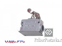 Микропереключатель МП1306
