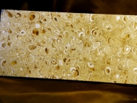Королевский ракушечник