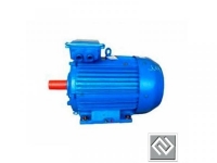 Электродвигатель 4АМУ 200L6