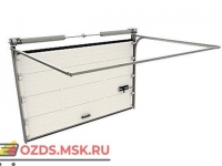 DoorHan RSD02 (4200х2420) с калиткой: Ворота секционные