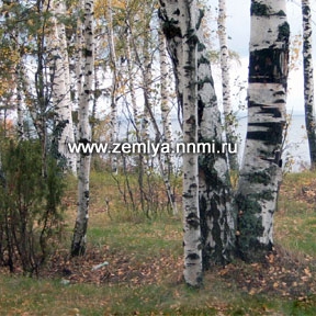 Земельные участки в Нижегородской области