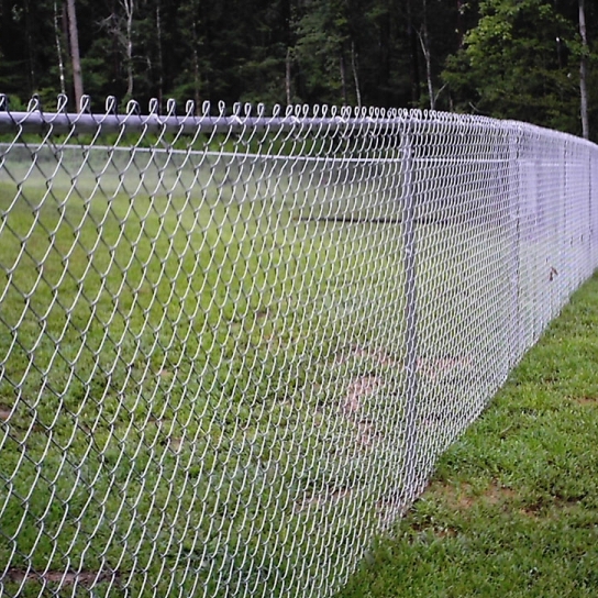  Заборы из сетки рабица